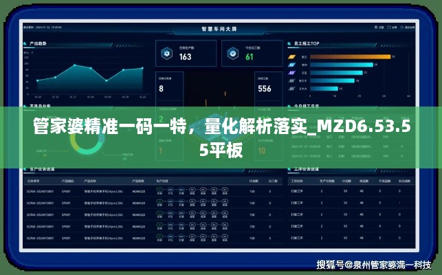 管家婆精准一码一特，量化解析落实_MZD6.53.55平板