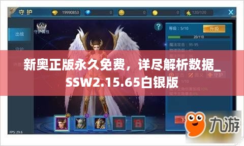 新奥正版永久免费，详尽解析数据_SSW2.15.65白银版