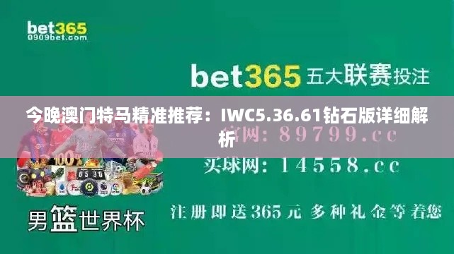 今晚澳门特马精准推荐：IWC5.36.61钻石版详细解析