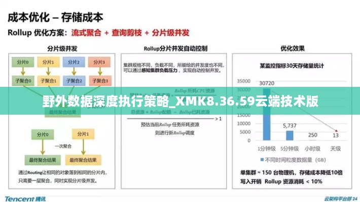 野外数据深度执行策略_XMK8.36.59云端技术版