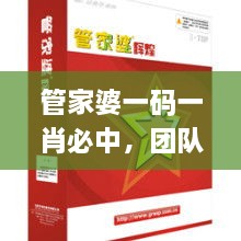 管家婆一码一肖必中，团队建设落实方案_UGY2.54.95标准版