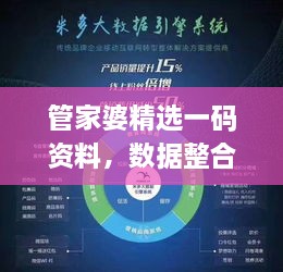 管家婆精选一码资料，数据整合实施方案_PAJ5.15.63炫酷版