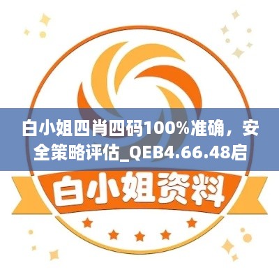 白小姐四肖四码100%准确，安全策略评估_QEB4.66.48启天境