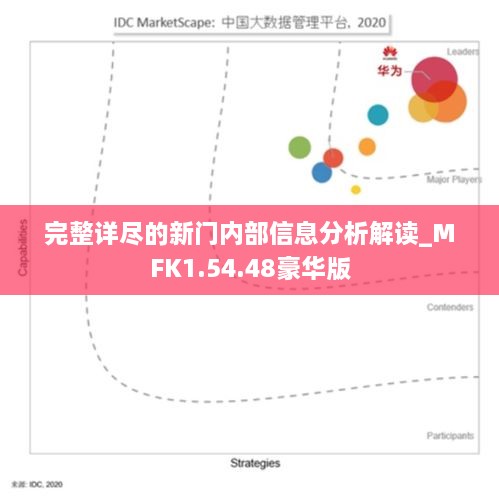 完整详尽的新门内部信息分析解读_MFK1.54.48豪华版