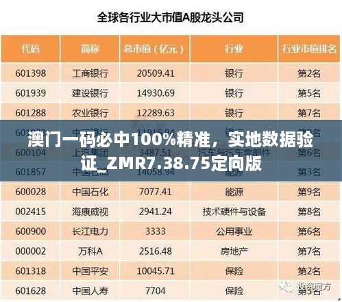 澳门一码必中100%精准，实地数据验证_ZMR7.38.75定向版