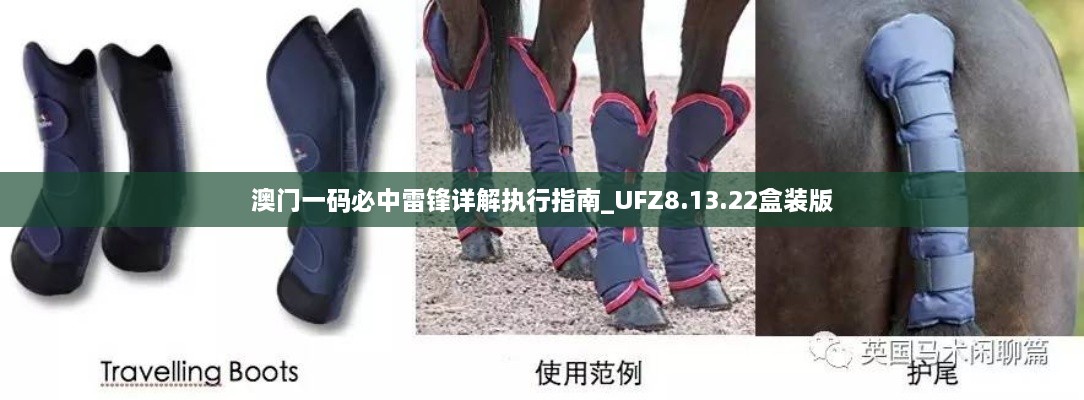 澳门一码必中雷锋详解执行指南_UFZ8.13.22盒装版