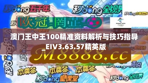 澳门王中王100精准资料解析与技巧指导_EIV3.63.57精英版