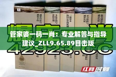 管家婆一码一肖：专业解答与指导建议_ZLL9.65.89目击版