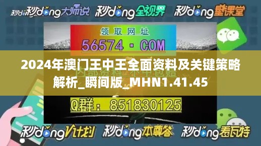 2024年澳门王中王全面资料及关键策略解析_瞬间版_MHN1.41.45