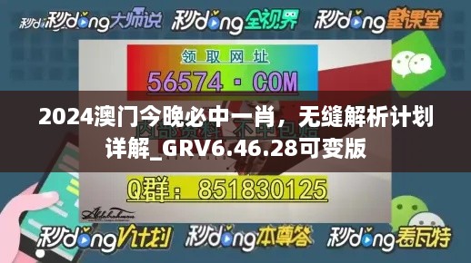 2024澳门今晚必中一肖，无缝解析计划详解_GRV6.46.28可变版