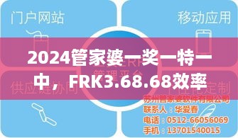 2024管家婆一奖一特一中，FRK3.68.68效率版灵活解答及解释方案