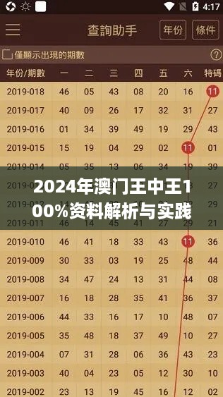 2024年澳门王中王100%资料解析与实践落实_HIX1.27.83领航版