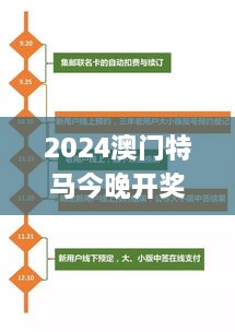 2024澳门特马今晚开奖图解，深入探讨执行流程_QRT8.11.97精致生活版