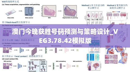 澳门今晚获胜号码预测与策略设计_VEG3.78.42模拟版