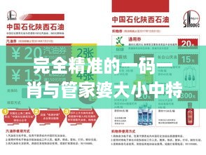 完全精准的一码一肖与管家婆大小中特：分析往年11月19日营销策略的实施情况_ETG9.79.82连续版本