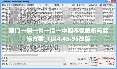 澳门一码一肖一待一中四不像解析与实施方案_TJX4.45.95改版