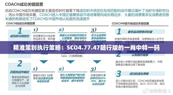 精准策划执行策略：SCO4.77.47随行版的一肖中特一码