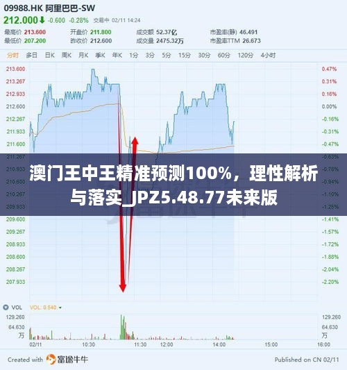 澳门王中王精准预测100%，理性解析与落实_JPZ5.48.77未来版