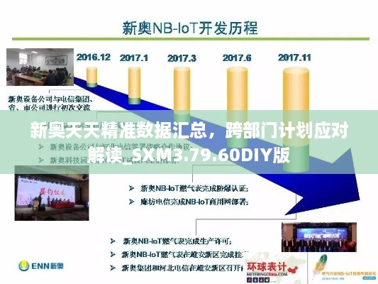 新奥天天精准数据汇总，跨部门计划应对解读_SXM3.79.60DIY版