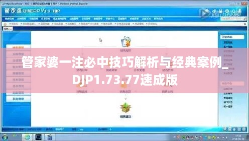 管家婆一注必中技巧解析与经典案例_DJP1.73.77速成版