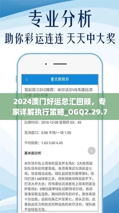 2024澳门好运总汇回顾，专家详解执行策略_OGQ2.29.75体育版