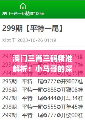 澳门三肖三码精准解析：小马哥的深度解答与实施方案_WJC9.29.66版本