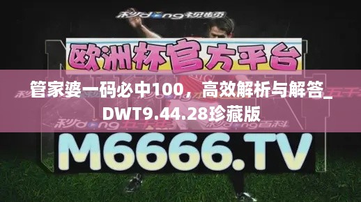 管家婆一码必中100，高效解析与解答_DWT9.44.28珍藏版