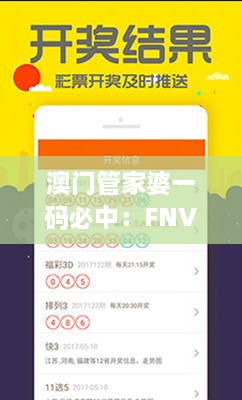 澳门管家婆一码必中：FNV9.45.91全球版最新解决方案