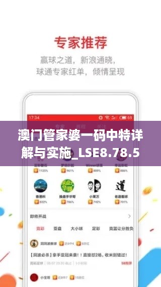 澳门管家婆一码中特详解与实施_LSE8.78.58强化版