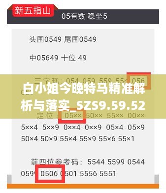 白小姐今晚特马精准解析与落实_SZS9.59.52核心版
