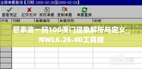 管家婆一码100澳门现象解析与定义_NWL6.26.40工具版