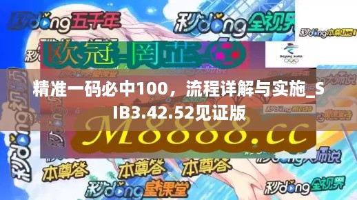 精准一码必中100，流程详解与实施_SIB3.42.52见证版