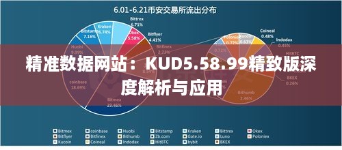 精准数据网站：KUD5.58.99精致版深度解析与应用