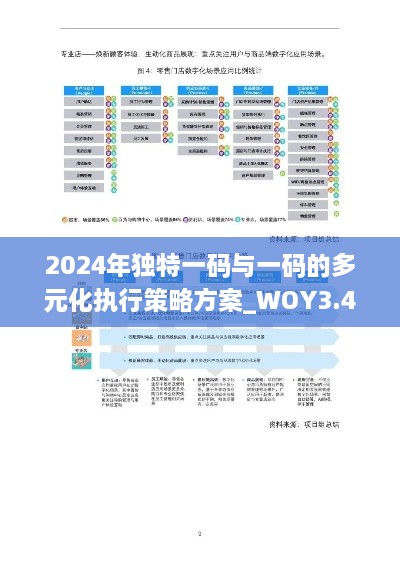 2024年独特一码与一码的多元化执行策略方案_WOY3.49.23采购版