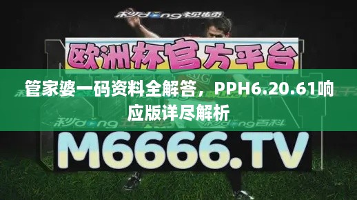 管家婆一码资料全解答，PPH6.20.61响应版详尽解析