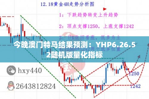 今晚澳门特马结果预测：YHP6.26.52随机版量化指标