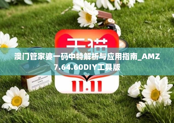 澳门管家婆一码中特解析与应用指南_AMZ7.64.60DIY工具版