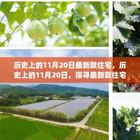 探寻最新款住宅足迹，历史上的11月20日印记