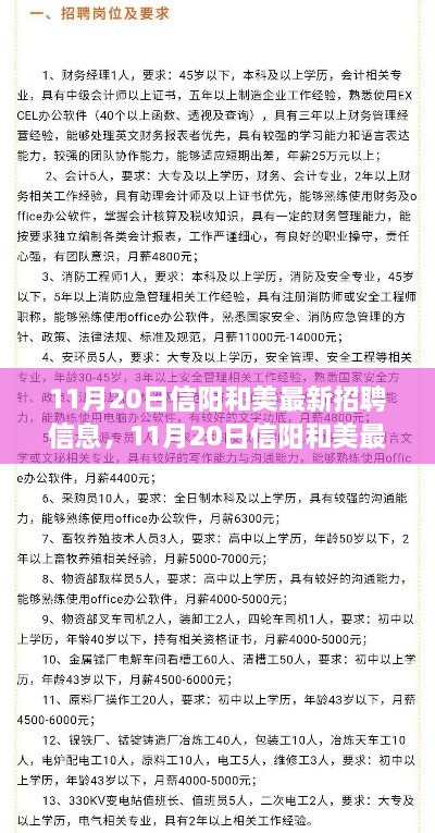 11月20日信阳和美最新招聘信息详解与全面评测