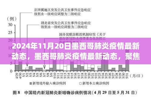 2024年11月20日墨西哥肺炎疫情最新动态观察与深度思考