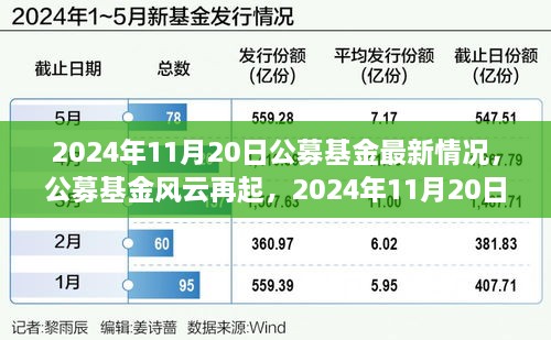 公募基金风云再起，最新动态与温馨投资故事