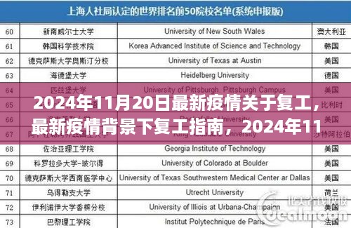 2024年11月20日最新疫情关于复工，最新疫情背景下复工指南，2024年11月20日的洞察与展望