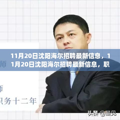 11月20日沈阳海尔招聘最新信息及职场人的新机遇