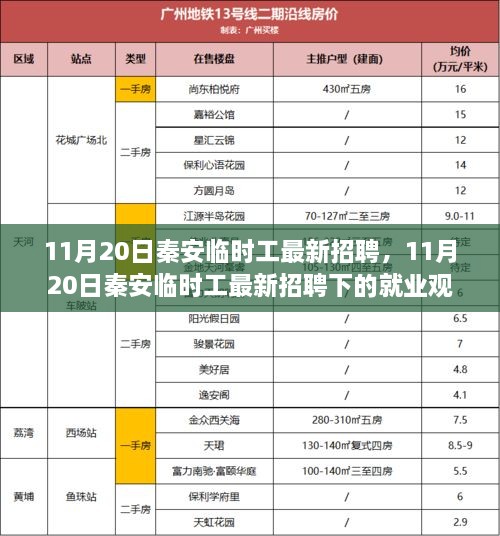 11月20日秦安临时工最新招聘及其就业观点探讨