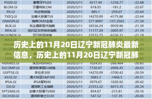 辽宁历史上的11月20日新冠肺炎最新进展与心灵的自然美景之旅