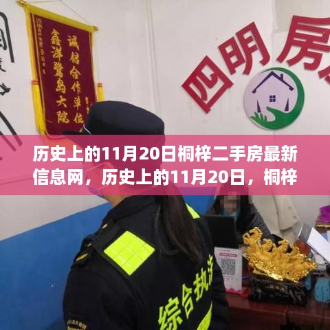 历史上的11月20日，桐梓二手房信息变迁与时代影响