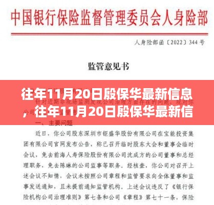 殷保华最新信息解析，多方观点碰撞与个人立场阐述，揭秘往年11月20日动态