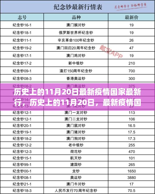 历史上的11月20日，最新疫情国家行动全面评测与最新动态观察