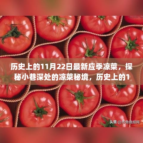 历史上的11月22日，探秘小巷深处的凉菜秘境，最新应季佳肴赏析