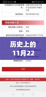 历史上的11月22日，最新借钱平台的兴起与挑战——深度解析与观点论述